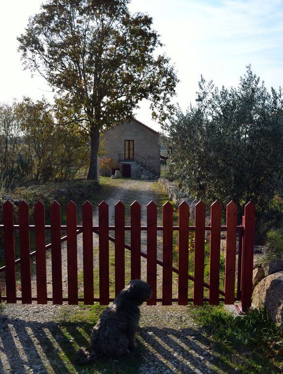 Retiro Da Lameira Seia Zewnętrze zdjęcie